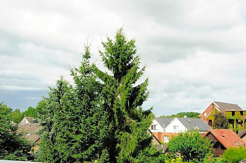 Hotel Restaurant Doppeladler