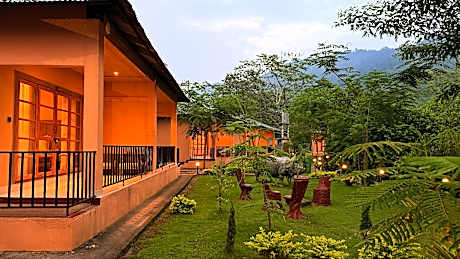 Kaziranga Eco Village