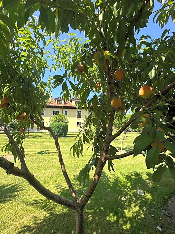 Casa de Aldea El Frade