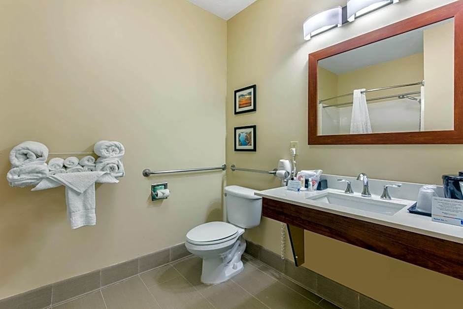 Comfort Inn & Suites Mccomb