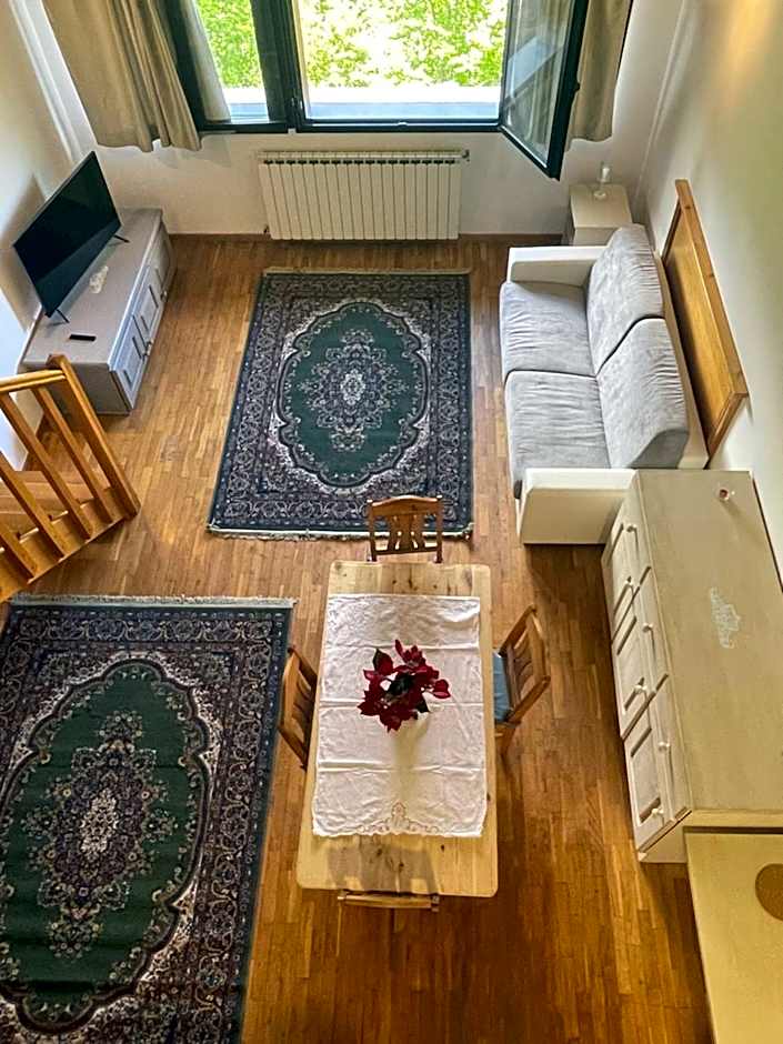 Residenza Riva Wellness Apartment Spa