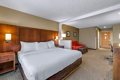 Comfort Suites Airport
