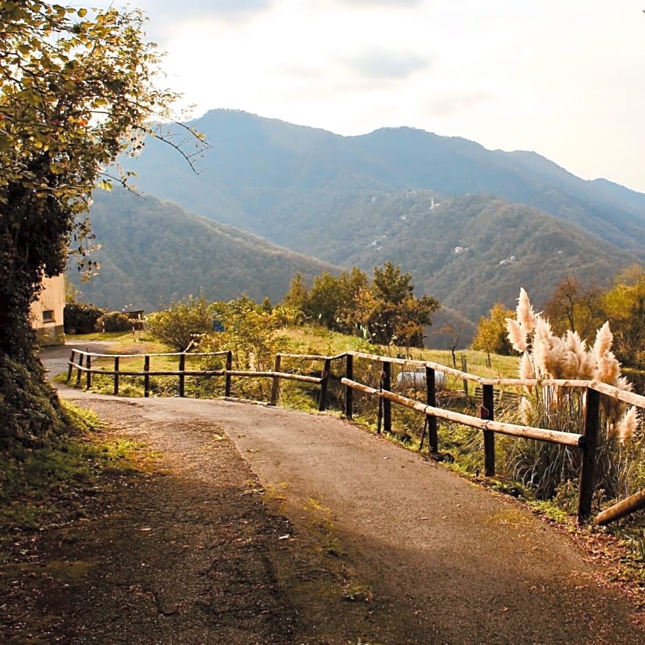 Locanda del Sale Affittacamere
