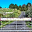 The Dome Waikino