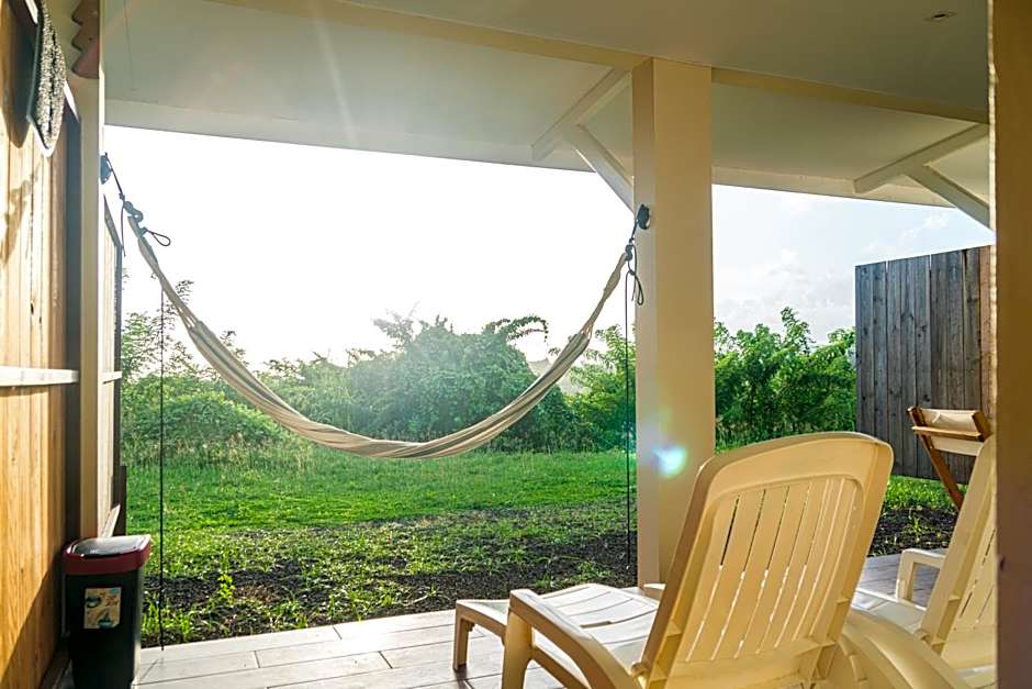 Studio : Écaille de tortue