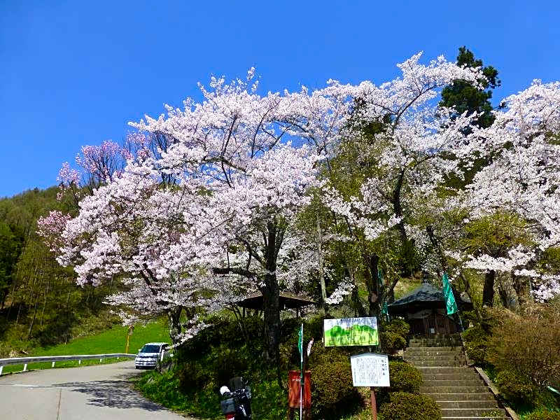 Yudanaka Seifuso Hotel