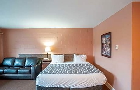 Standard King Room Pet Friendly