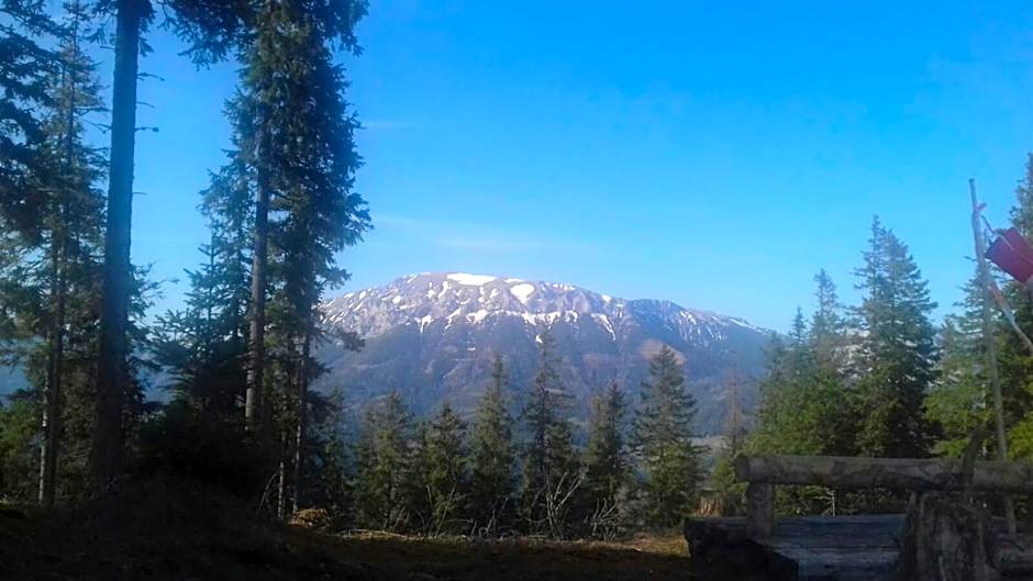 Frühstückspension Gasthof Gesslbauer