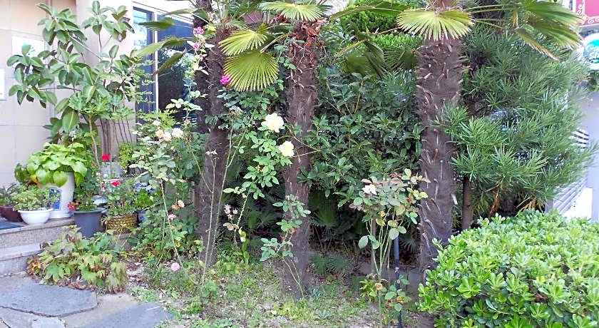 Goodstay Charmant Hotel (Korea Quality)