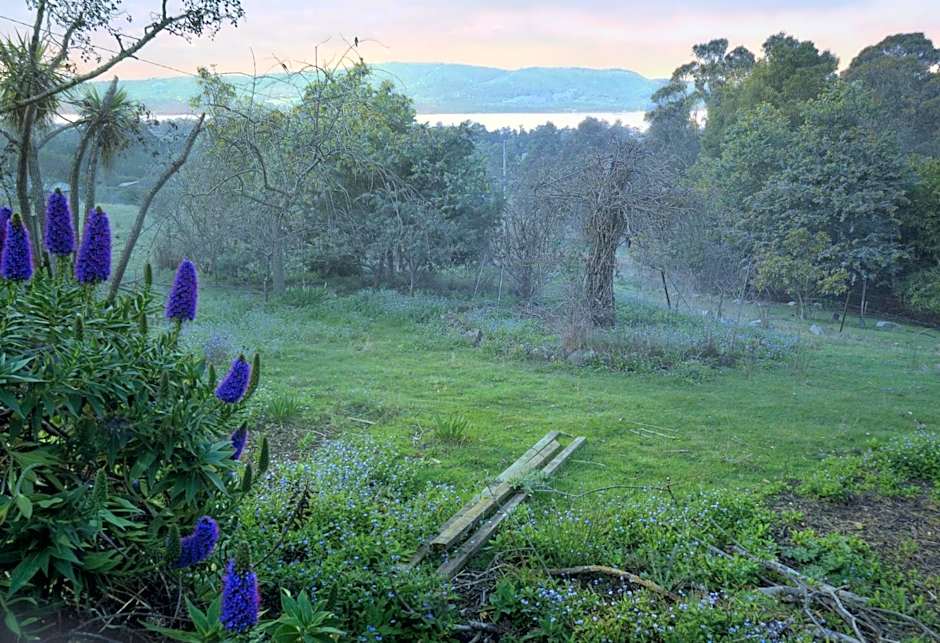Waterview Gardens B&B