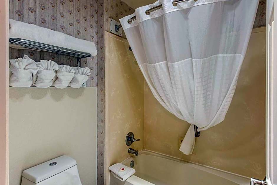 Comfort Inn Mount Shasta Area