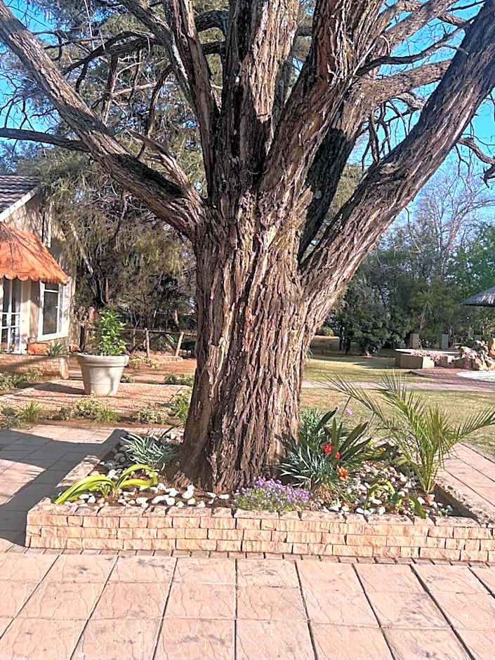 SILKEN TRAP GUEST HOUSE