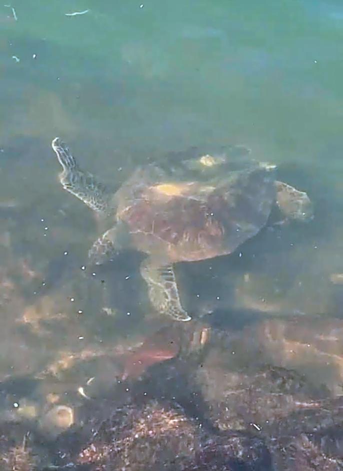 Gruta da Sereia Suítes Ubatuba