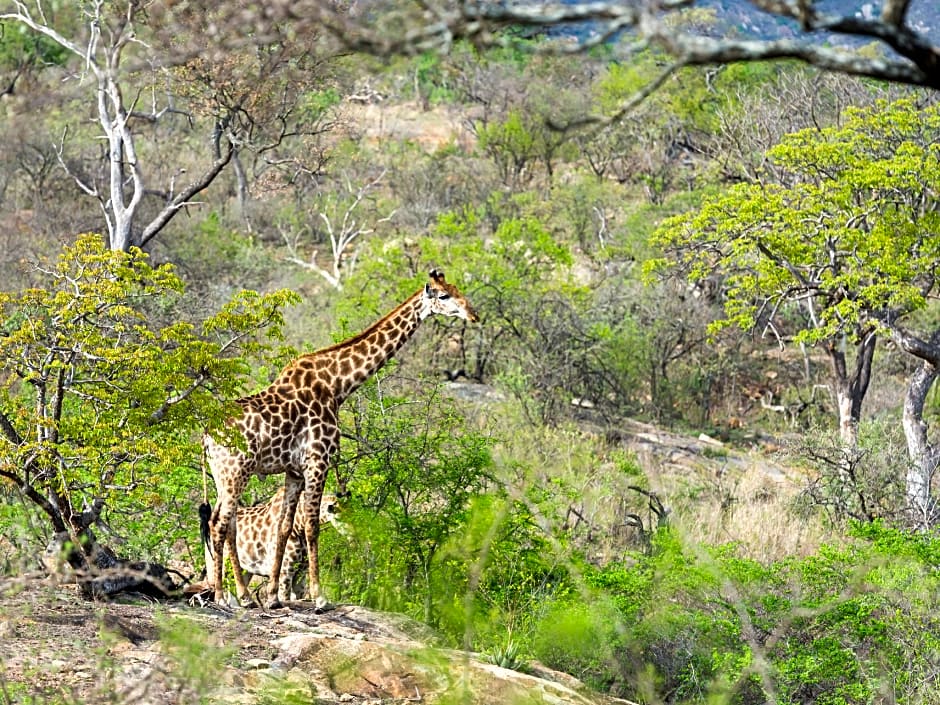 aha Bongani Mountain Lodge
