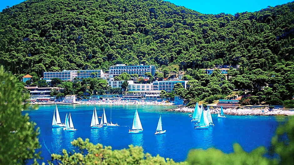 Hotel Vis