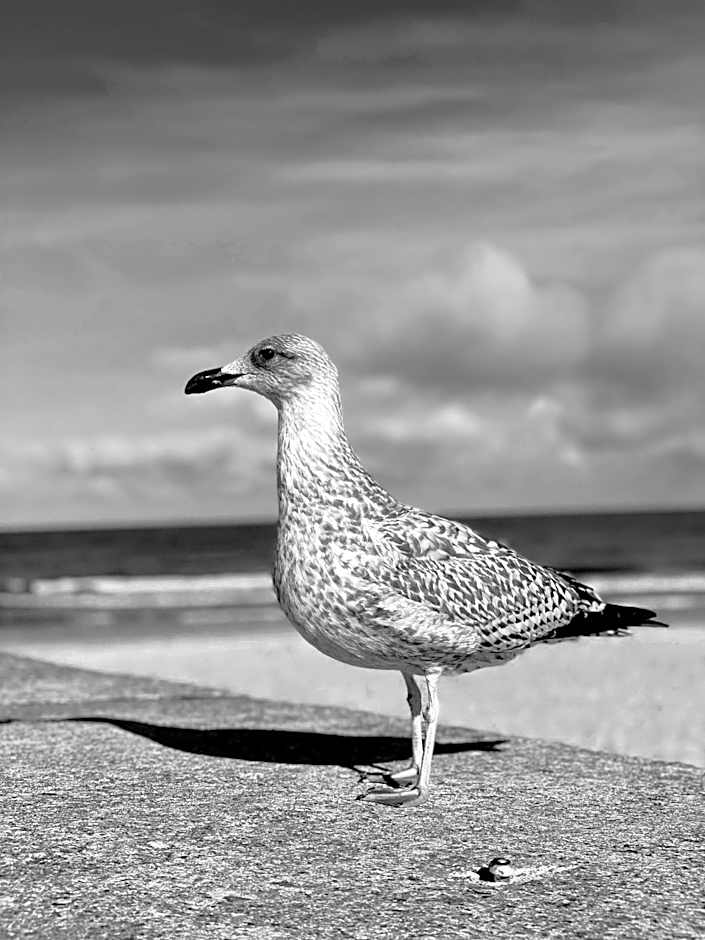 Ośrodek wczasowy Flauta