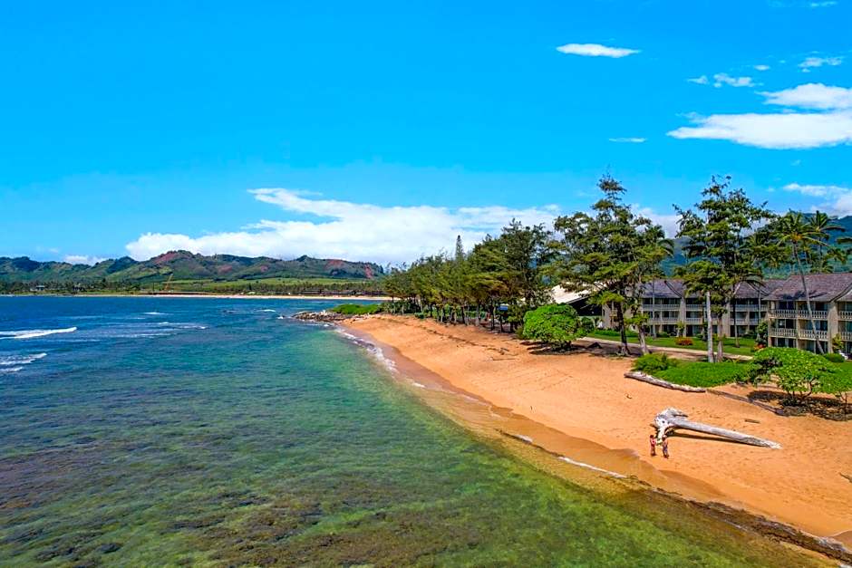 Aston Islander On The Beach