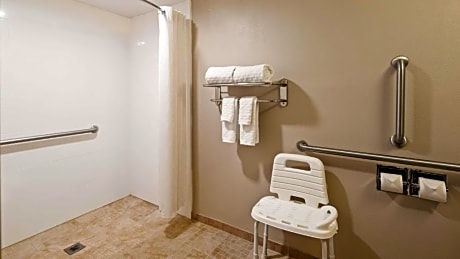 accessible - 1 queen, mobility accessible, roll in shower, non-smoking, continental breakfast