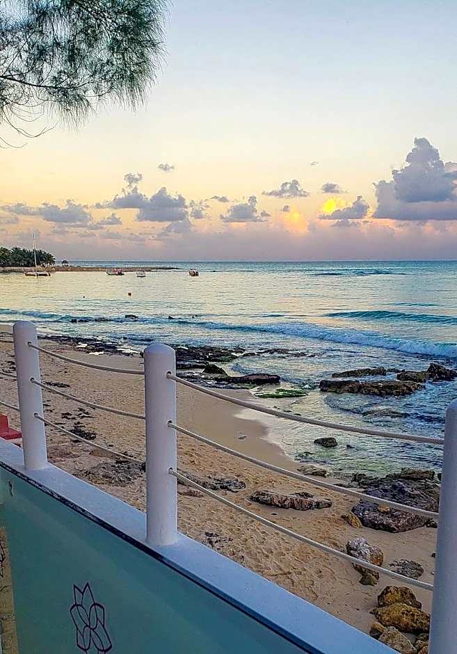 Senses Riviera Maya, Oceanfront Boutique Hotel, Adults Only