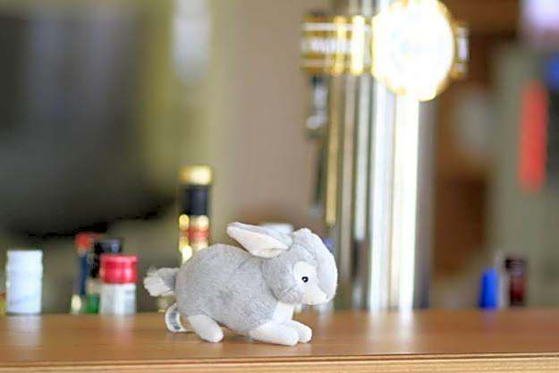 Landhotel Möllhagen