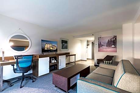 1 King Bed Studio Suite Non-Smoking