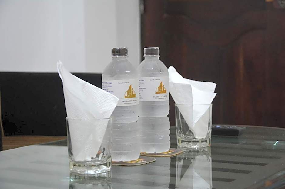 Saasha City Hotel