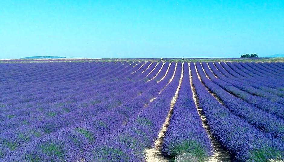 Sweet Home studio Aix en Pce, clim,terrasse,piscine,pkg,resto