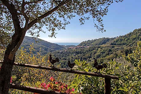Pietrantica - Affittacamere con giardino NUOVA APERTURA a Trebiano -CITR