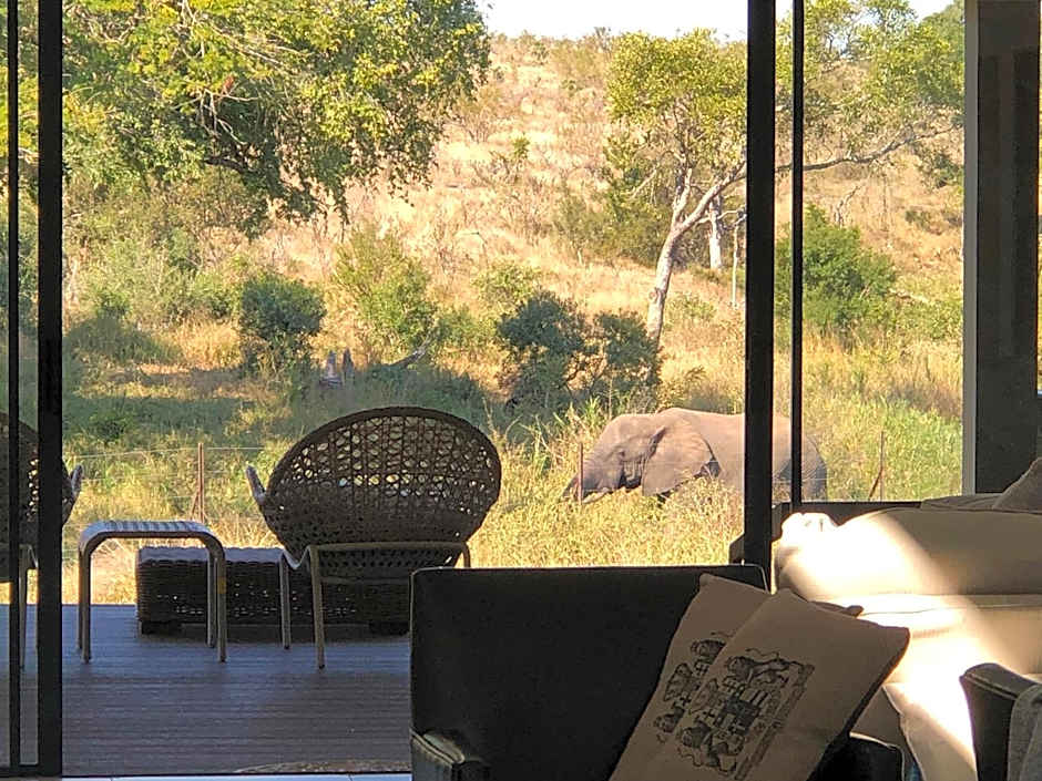 Barn Owl Lodge, Mjejane Game Reserve, Greater Kruger Park