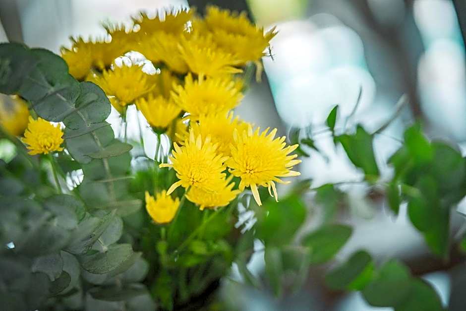 Casa Luna Hotel - Adult Only