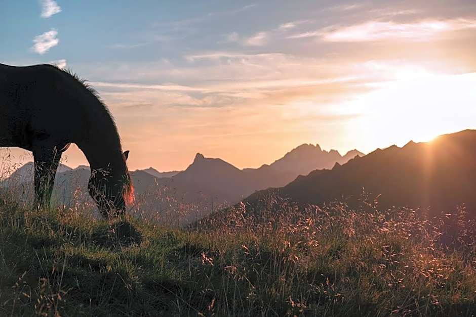 Landhotel Almrösl im Großarltal