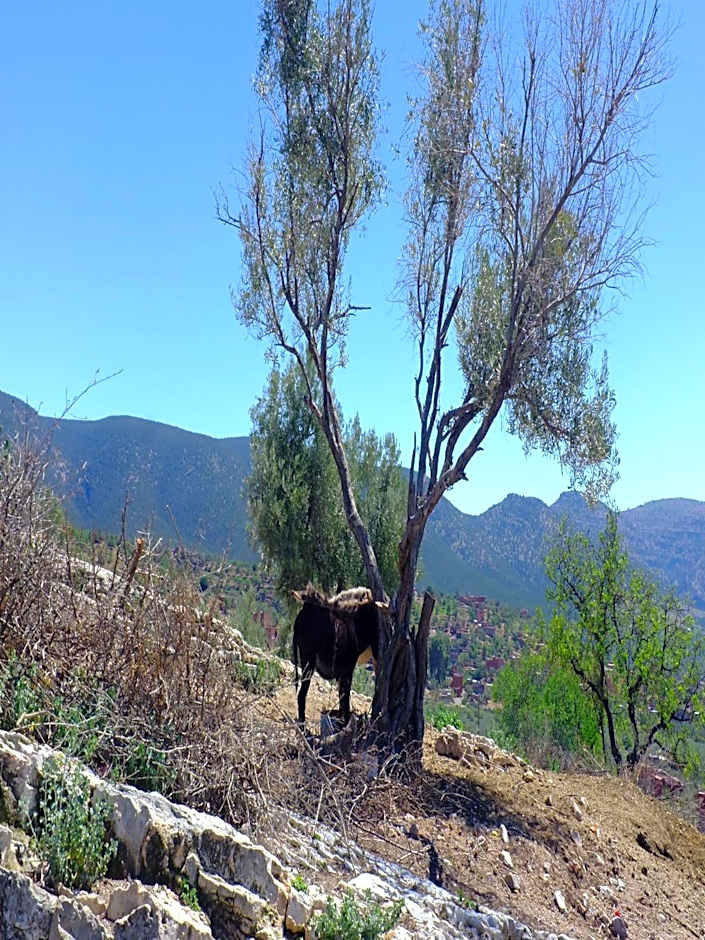 Riad Cascades d'Ouzoud