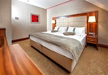 Standard King Room - Disability Access