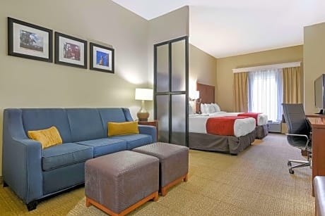 2 Double Beds, Suite, Nonsmoking, Accessible