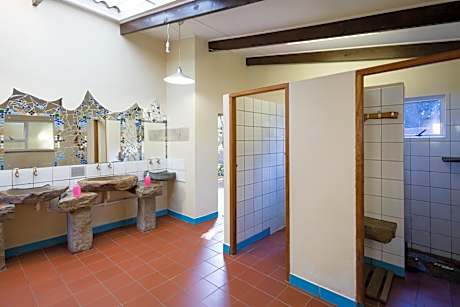 Bunk Bed in Mixed Dormitory Room