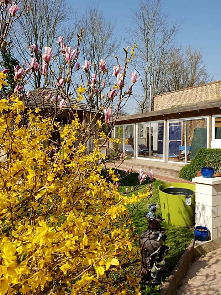 Chateau La Tour Du Roy