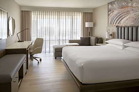 Guest room, 1 King Bed with View