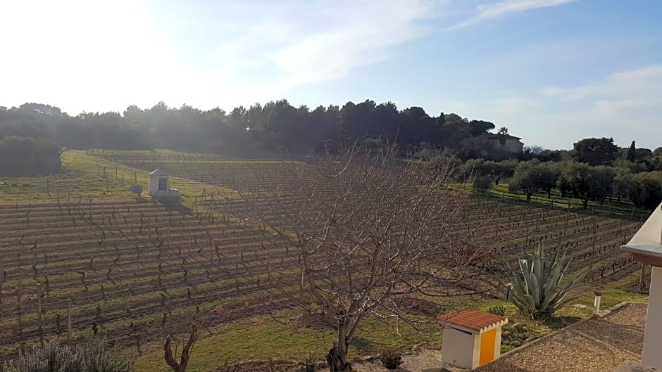 SERRA E MESU Affittacamere