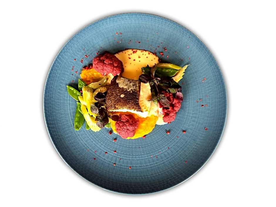 Hotel Olympic Spa & Wellness