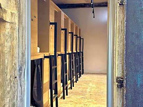 Bunk Bed in Mixed Dormitory Room