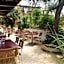 Hotel Plammas