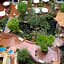 Holiday Inn Express Anaheim West By IHG