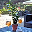 Hotel Helios Beach