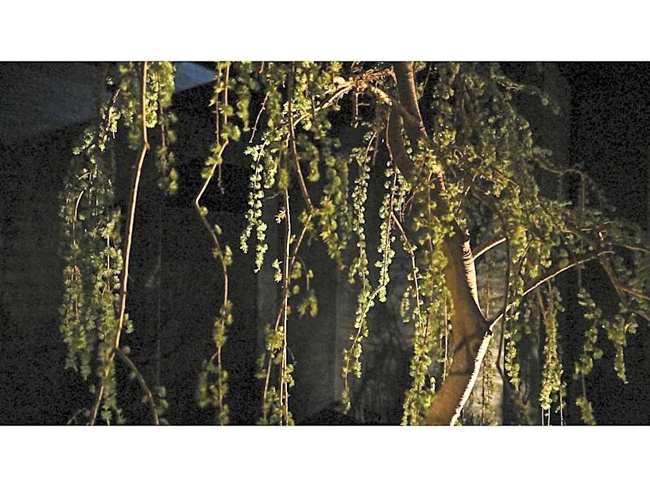 nol kyoto sanjo - Vacation STAY 97692v