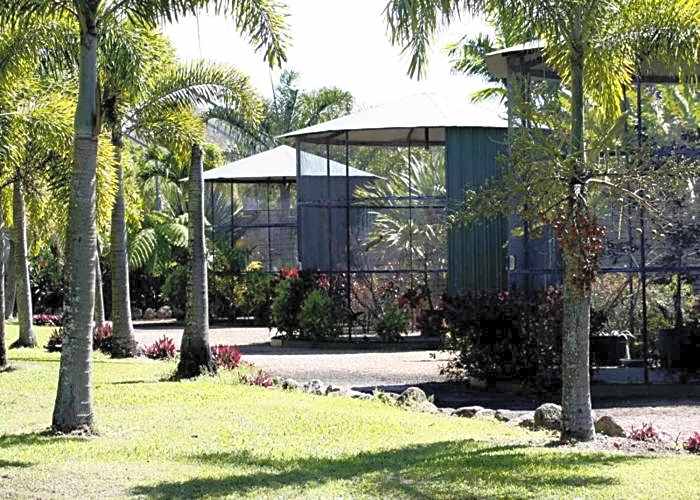 Daintree Wild Bed & Breakfast