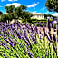 Logis Hôtel Restaurant Les Aubuns