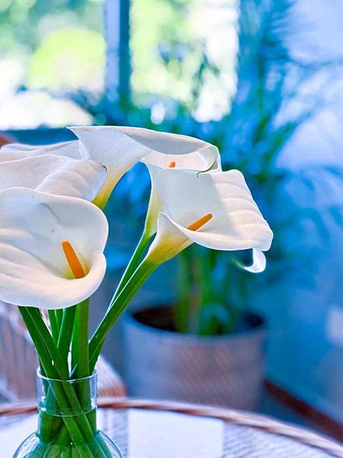 Hotel Leal - La Sirena