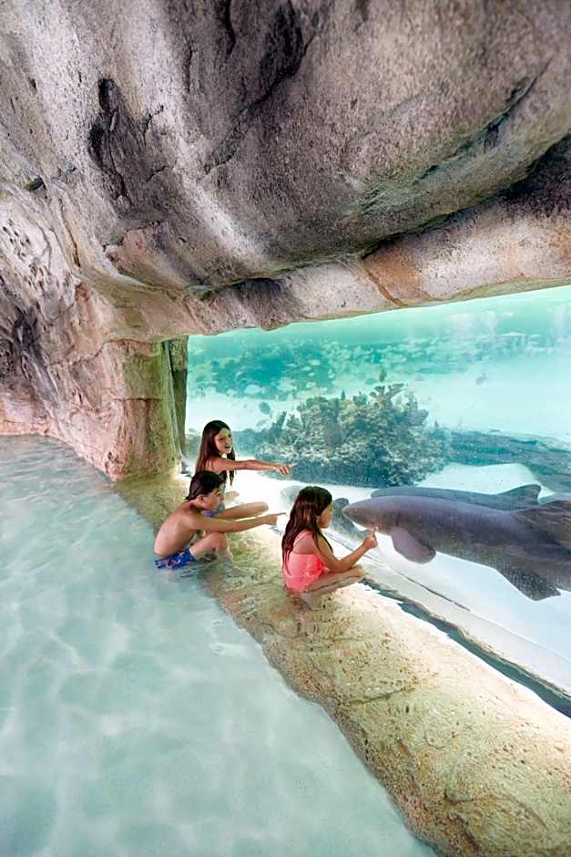 SLS Baha Mar