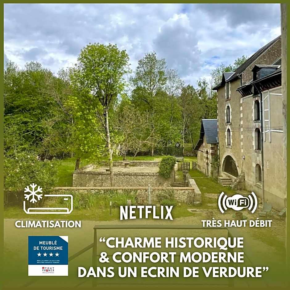 Gite du Meunier, Moulin de Vineuil, 4ch, 2sdb