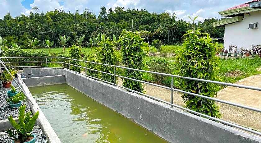 Jazz Ferme Inn Batuan Bohol